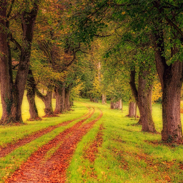 Bilan de compétences 